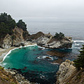 McWay Falls Palm, Big Sur